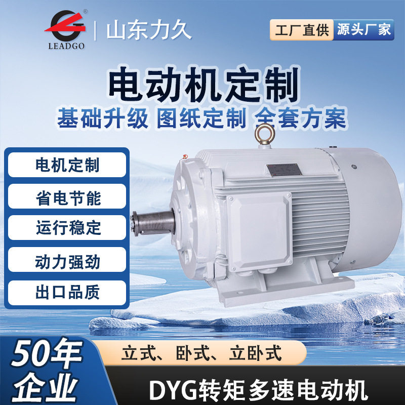DYG高起动转矩多速电动机高转矩高负载油田矿山专用电机型号齐全