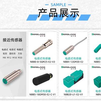 倍加福ENA58IL-S10CA7-1213SG1-RC2绝对值编码器269813-100080