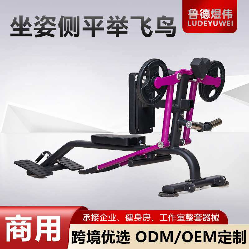 坐姿侧平举飞鸟健身房私教用力量健身器材全套肩部训练器训练器械