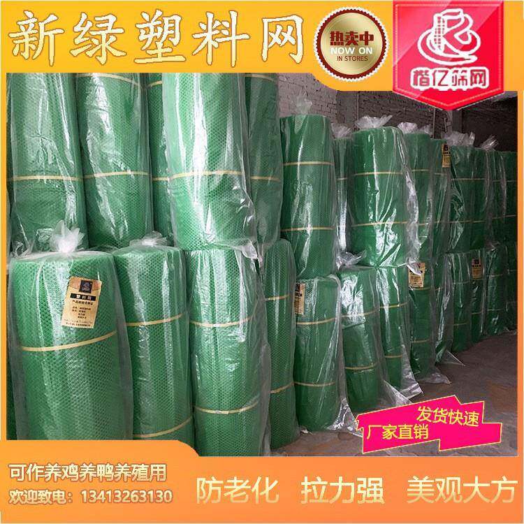塑料网新绿胶网动植物养殖网可作养鸡养鸭防老化拉力强