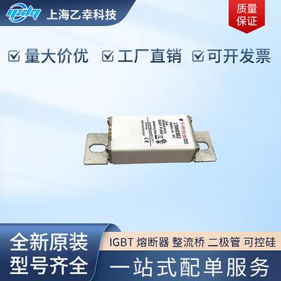 巴斯曼熔断器170M1792170M1793170M1794170M1795170M1796