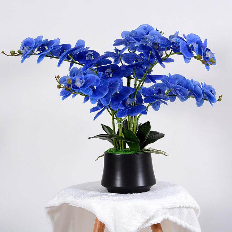 手感胶片仿真蝴蝶兰花艺盆景家居客厅桌面轻奢装饰摆设假花盆栽