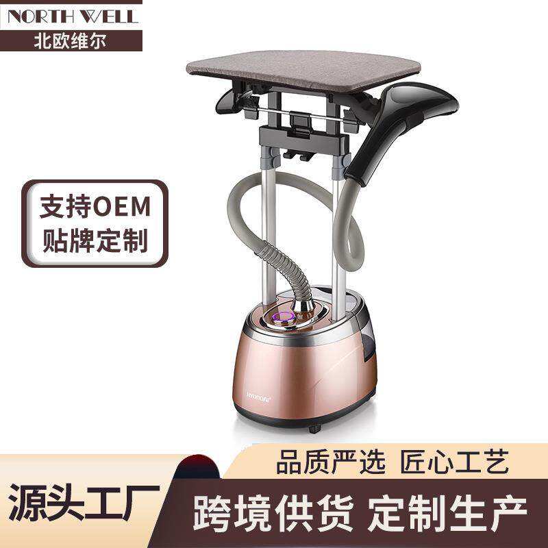 立式双杆大型挂烫机服装店蒸汽电熨斗蒸汽刷熨烫机欧规英规