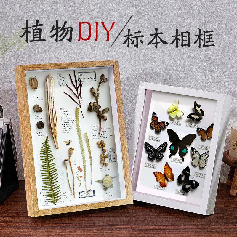 A4标本干花DIY摆台相框定制