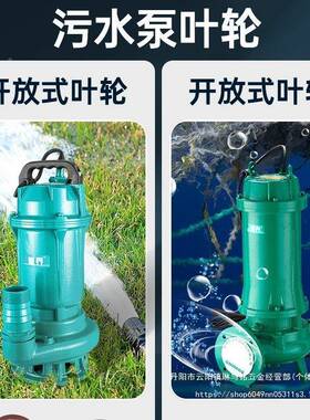 污水泵抽粪浆泥排污泵家用20380v高扬程吸污抽潜2RFOV水泵