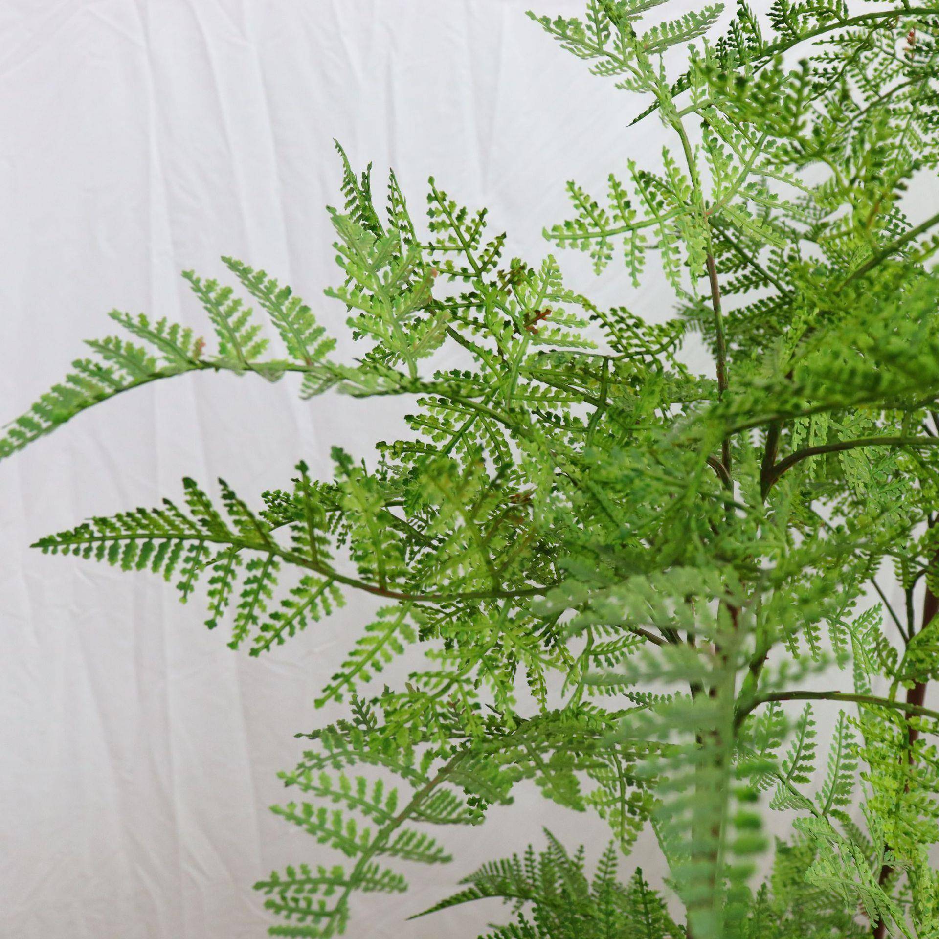 仿真蕨摆类物铁线蕨家植橱窗造居景装饰件落651574地绿植盆栽仿真
