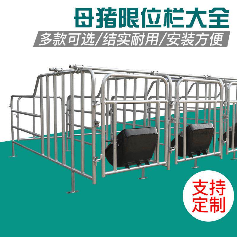 母猪定位栏种公猪用限位栏2.5厚10位漏粪板落地产床养猪养殖设备