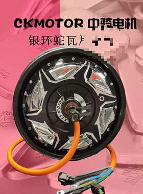 中骑银环蛇12寸3000WP4000WP5000wp电机非全顺豫马瓦片