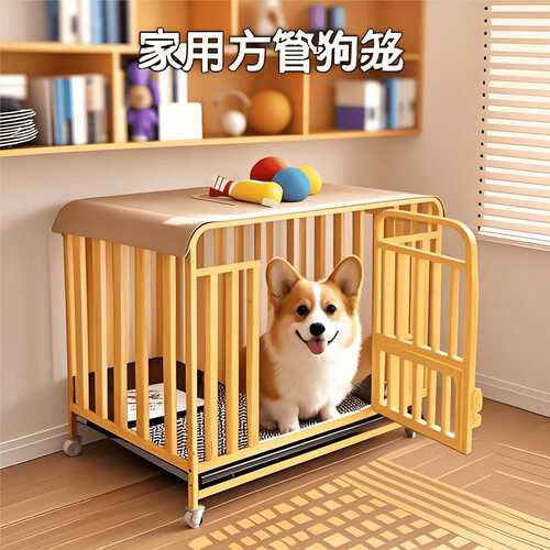 狗笼子大中小型犬带厕所分离一室一厅一卫自动清粪宠物猫兔笼狗窝
