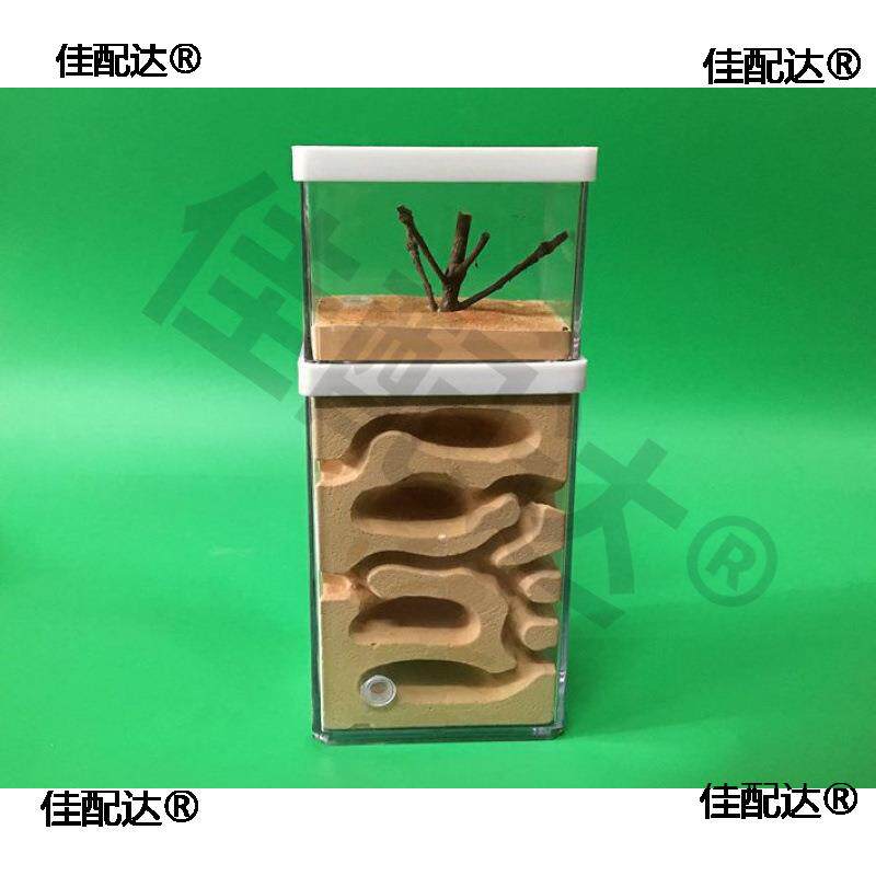 大地心蚂蚁工坊家园城堡学生蚁巢庄园宠物蚁后盒子