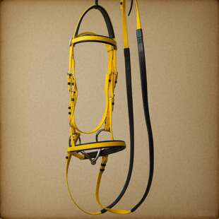 pvc水勒僵绳套装马术马具用品手工耐磨牵马勒笼头套配件赛骑马场