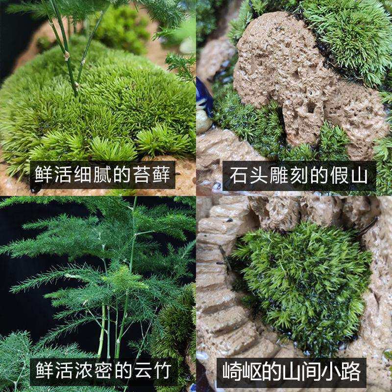 流水版假山盆景吸水奇石室内盆栽上水石头摆件天然山水造景绿植物