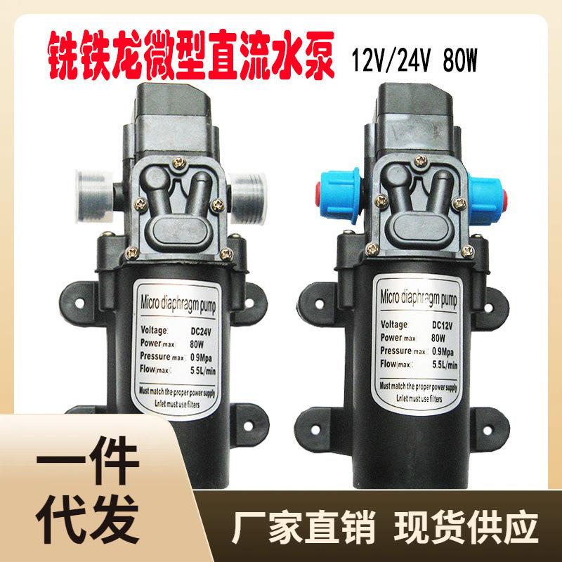 ε微型直流隔膜泵家用12V80W自吸增压电泵车载24V洗车高压智能