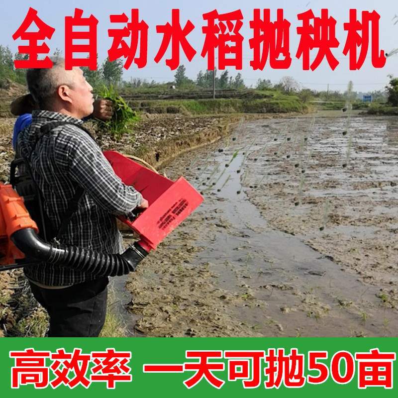电动水稻抛秧机抛秧抛秧盘农村农用用小型水稻插秧机全自动