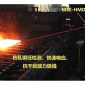 84数式 工业级热金器属检测SE HMYQYD85 热检M字莫顿德国进口