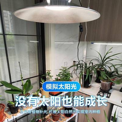 太全光谱eld植DNB物补家光灯模拟阳光用室内阳台植物生长灯促生长