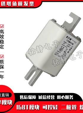 170M4016M1704017巴器斯ZOD曼熔断170M408保险丝现货170M41019