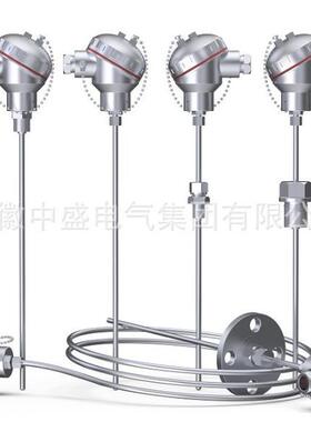 WRRF-130G防腐热电偶WRR2F-130G双支热电偶