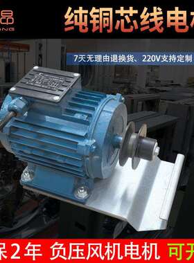 1380型负压风机电机配件养殖场风机车间排气扇1.1kw/380V铜垒德株