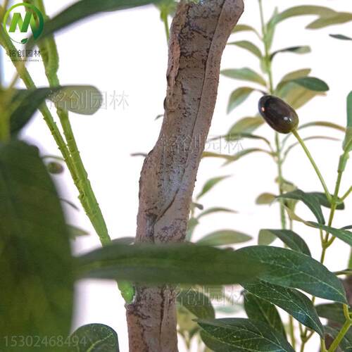 仿真橄榄树欧式家居落地植物盆栽 大型仿生绿植室内仿真橄榄树