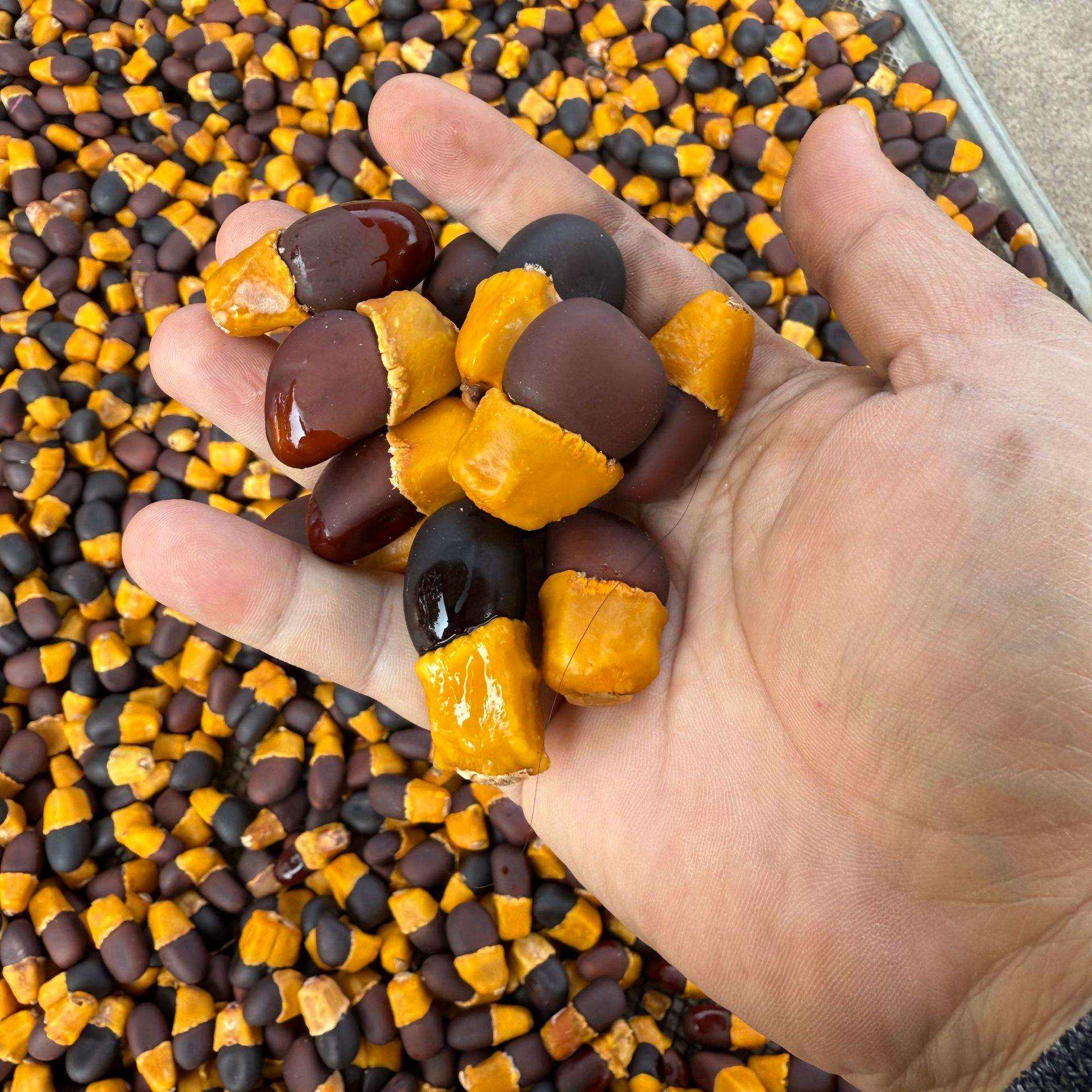 缅茄菩提抛光打蜡按公斤2025年产新缅茄黄头菩提籽