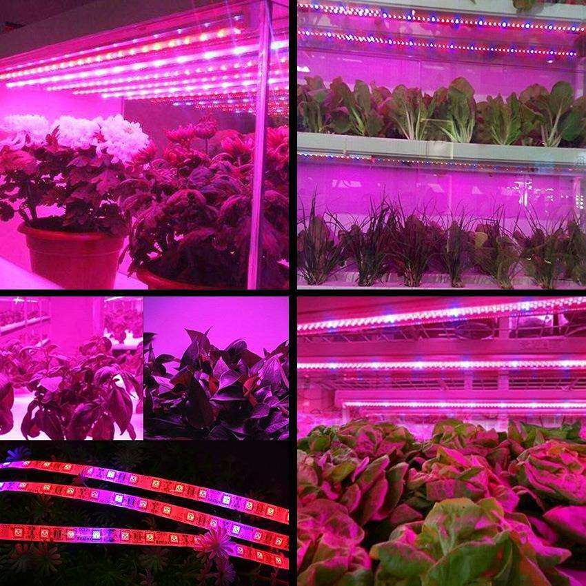全光谱LED植物灯大棚蔬菜育苗水草月季花卉室内补光生长灯带红蓝图片