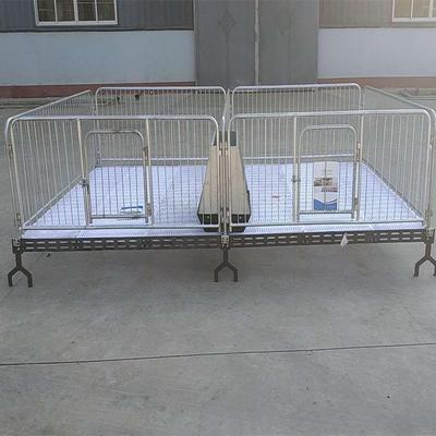 世昌合保育床仔猪保育复床小猪保板育床铁保育OLU床铸养猪设备