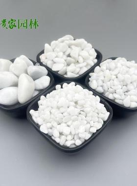 白卵铺石鱼缸铺底山花盆面用白色鹅卵石树坑枯水庭院622造景白石