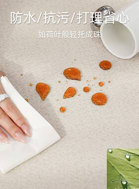 沙地毯洗客厅202擦5新款免可轻奢感现代简约发家F98JS576用地垫天