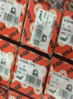 NJ204E.TVP2德国轴承205206207208209210211212NJ203EM