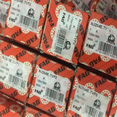 NJ204E.TVP2德国轴承205206207208209210211212NJ203EM