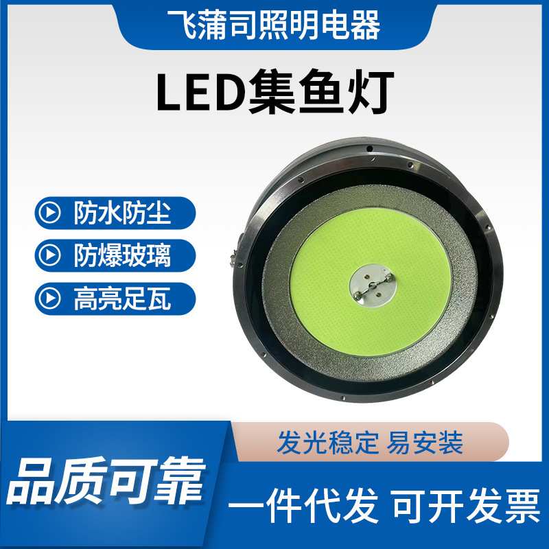 ?飞蒲司LED集鱼灯强光超亮水上引鱼诱鱼灯彩色光夜间渔船聚鱼灯