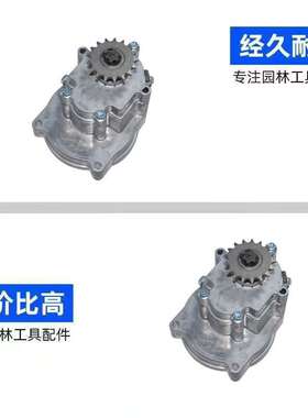 适用汽油机滑板车减速器T8F-20Tt8f-17T/t8f-14T汽油铲雪车减速器