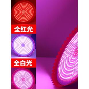 遥控调光调色生鲜灯猪肉灯熟食灯卖肉摊超市熟食店水果灯吊灯