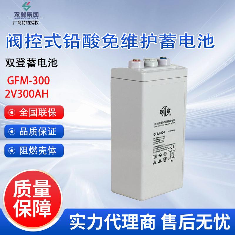 双登蓄电池GFM-300 免维护铅酸蓄电池2V300AH 太阳能基站机房用
