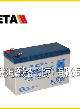 12V28AH法国POWER-SONIC蓄电池PS-12280风能太阳能发电