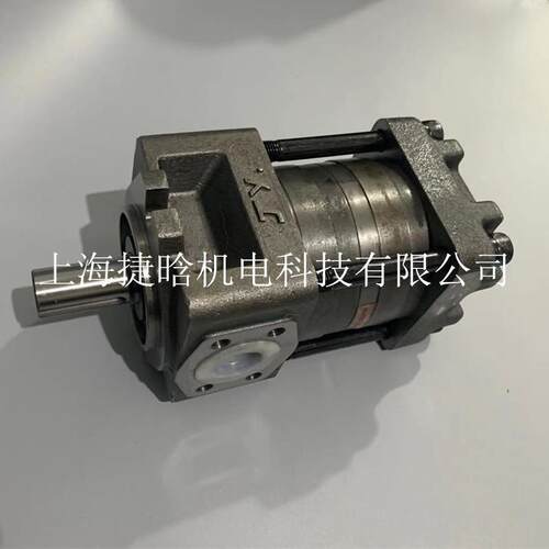 NBY2-G12FNT2-G12FNBT3-G12FNBZ2-G12F剪板机折弯机齿轮泵