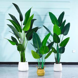 仿真绿植天堂鸟室内客厅北欧装饰摆件假植物大型盆栽树落地散尾葵