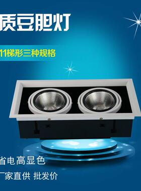 ob30W斗胆灯双头豆胆灯111car三头梯形W厂家15W20W单头直供10格栅