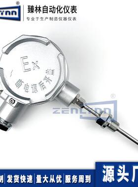 WZPK2-246防爆等级ExdIICT6隔爆铠装热电阻WZPK246防爆铠装热电阻