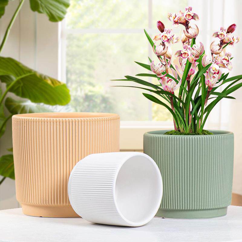 简约陶瓷花盆现货大号圆形家用绿化绿萝蝴蝶兰花盆盆栽三件套