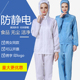 防静电工作服蓝色电子厂无尘车间食品厂防尘工装 洁净劳保防护套装