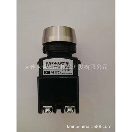 KG-AUTHO进KGX-AV21按钮原开关256装口