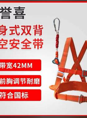 北京金811带2-Q2双背身式安护半腰BTR高空作全业安全带橙色