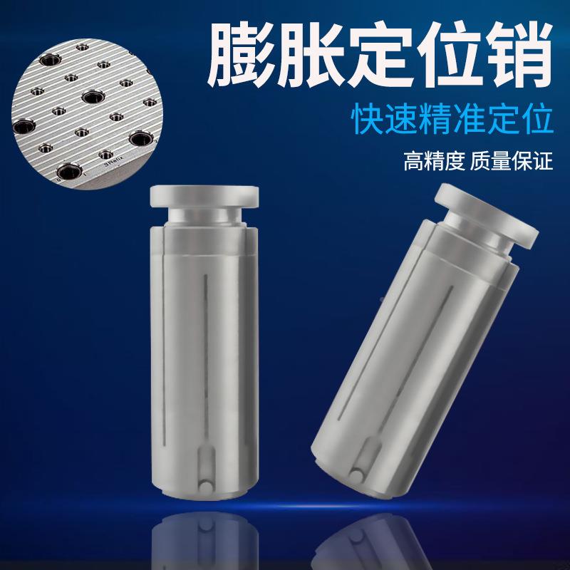 卡CN中密心盘膨胀定位销精3R工装夹C具D20定位销SBO锁紧棒