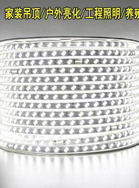 e灯带l220V户工程外3030户外2835防水灯条d养殖塔IKZ吊工地24V36V