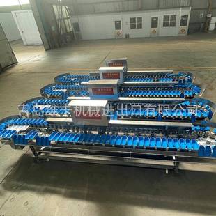 象拔蚌量自重分级机鱿鱼牡蛎称重分选机GJF动产海品检重分拣机