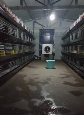 煤改电加热器大功率工业暖机风机特雏种养KBK风殖热养殖育加温供