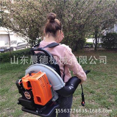大功率力灭火LPV机背风负式四程冲吹路面风吹雪机