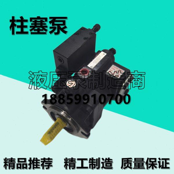 震远P46-A2-F-R-01柱塞泵P70/P100/P36/P22/P08-D4/C3/B1/A3-F,标准件/零部件/工业耗材,液压泵,淘宝优惠券,粉丝福利购,淘宝优惠卷
